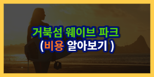 거북 섬 웨이브 파크