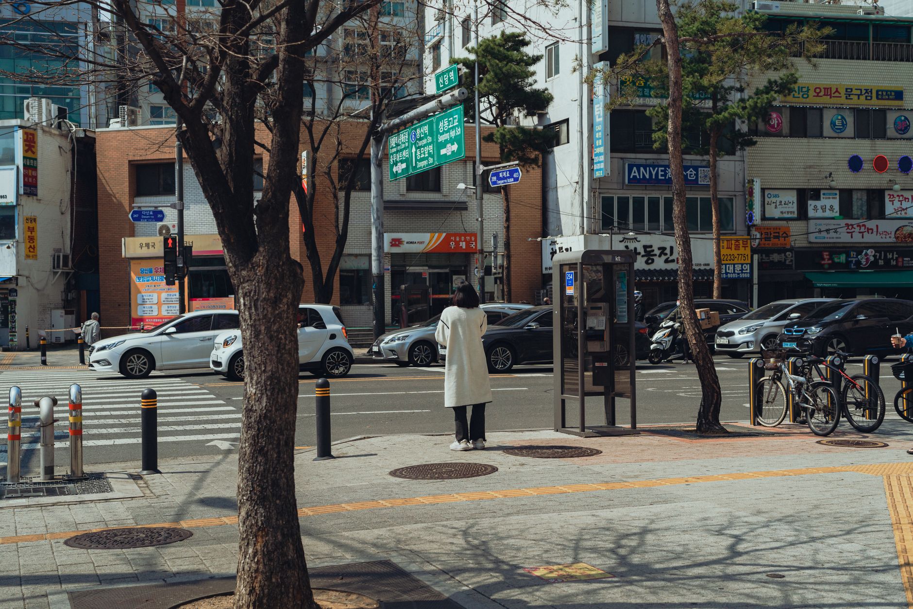 서울숲역 자연과 카페거리 탐방